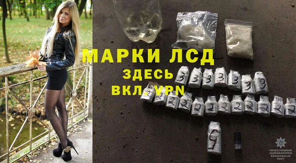 ПСИЛОЦИБИНОВЫЕ ГРИБЫ Балабаново
