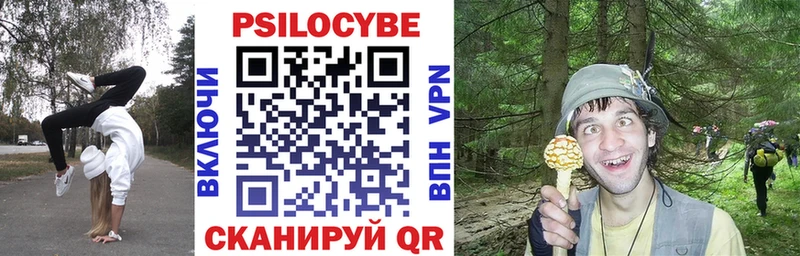 магазин продажи наркотиков  Кочубеевское  Галлюциногенные грибы прущие грибы 